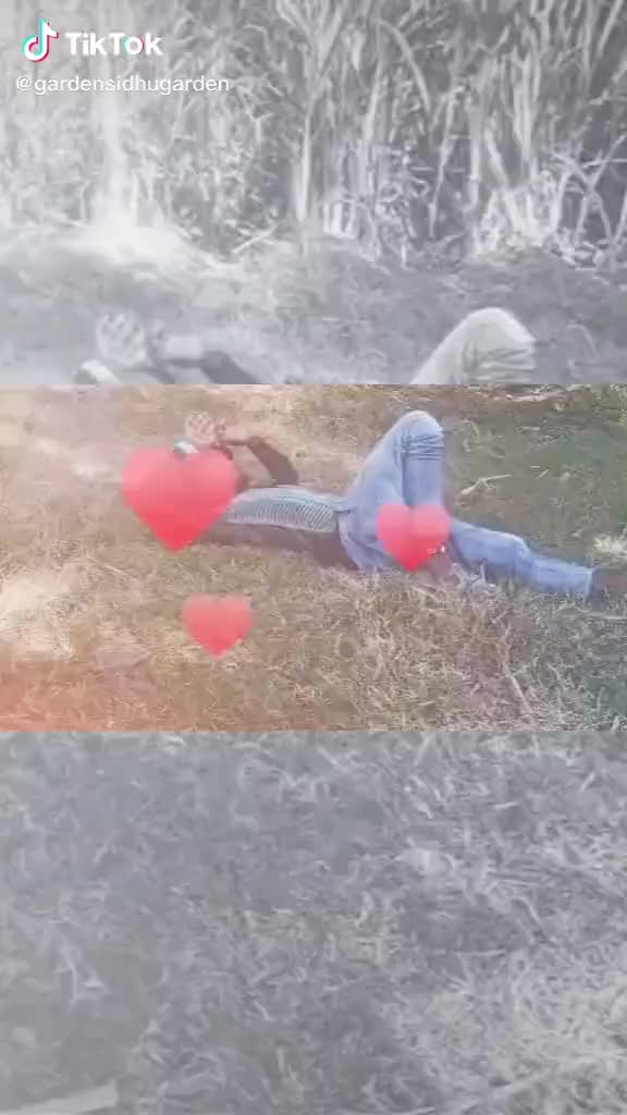 @Siddu siddu Siddu si