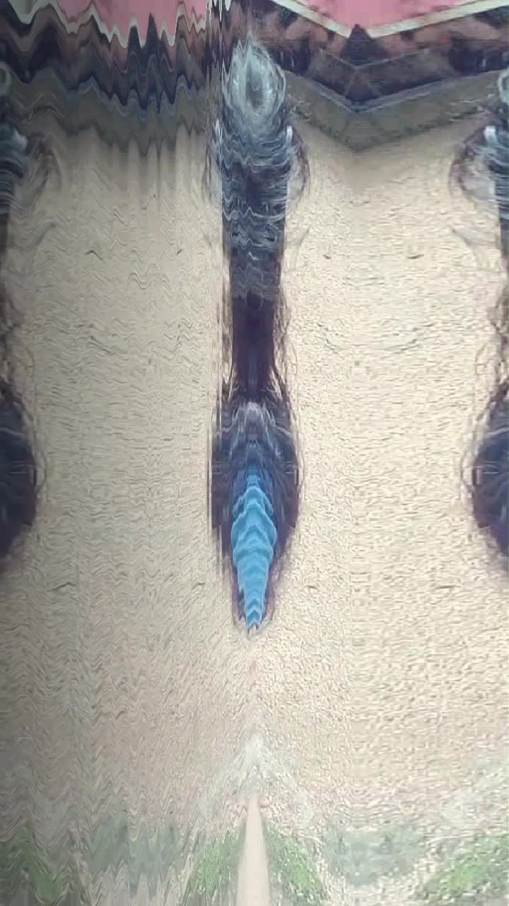 @_BINTU_