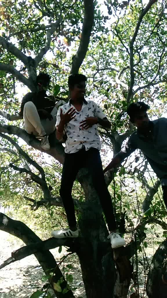 @Surya Thala Da