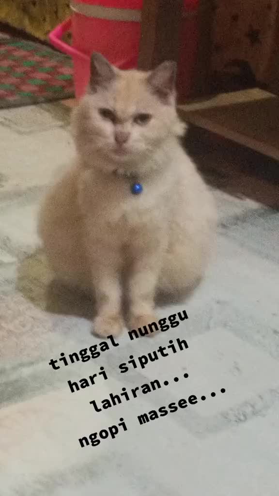 @Wahyuningsih