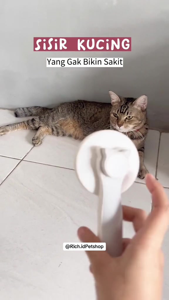 @Rich.id Petshop