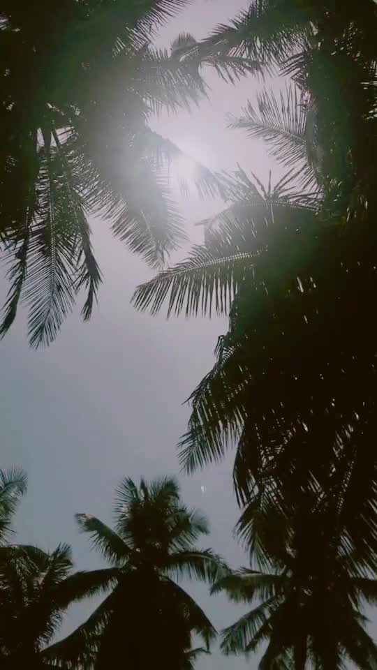 @cheMmu Theruvath