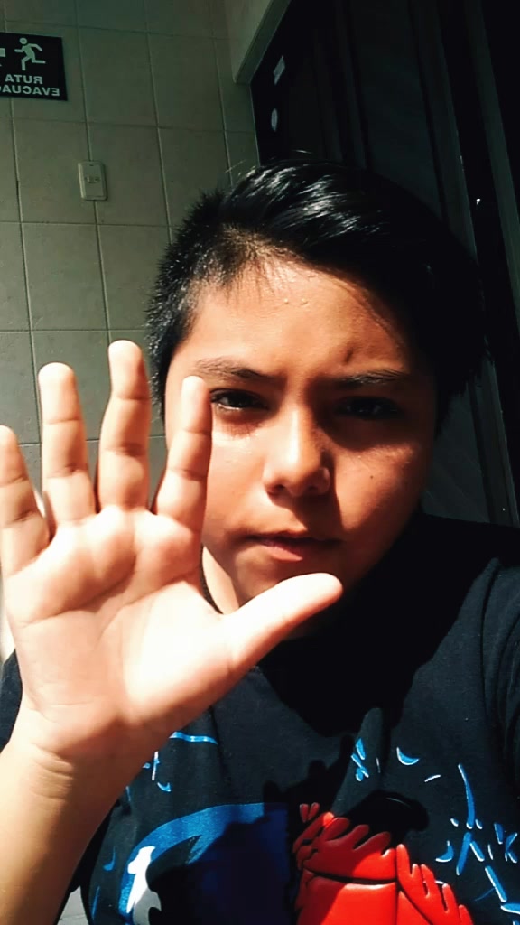 @andres CASTILLO