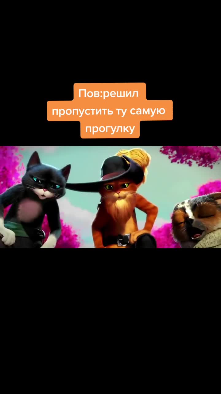 @⭐❄️лучший мемодел СНГ❄️✨