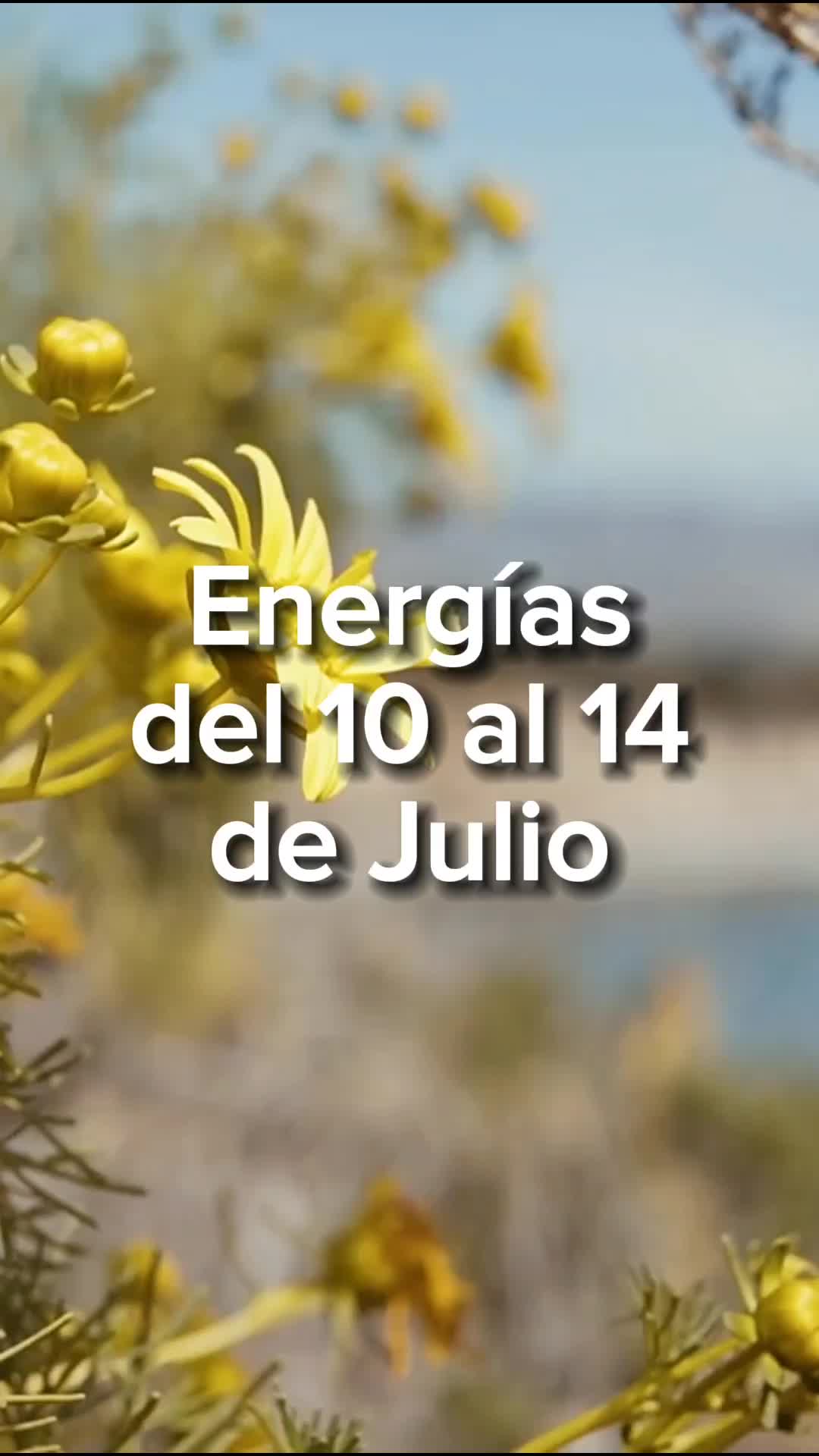 @numerosescenciales