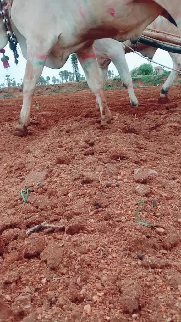 @E.Jagan.goud