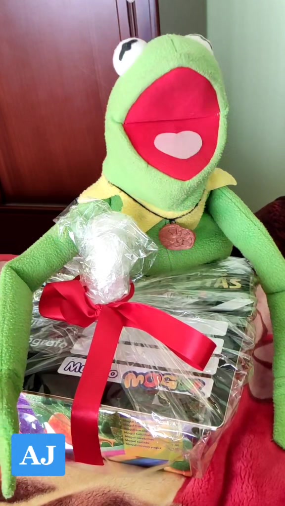 @RanitaAlva🐸