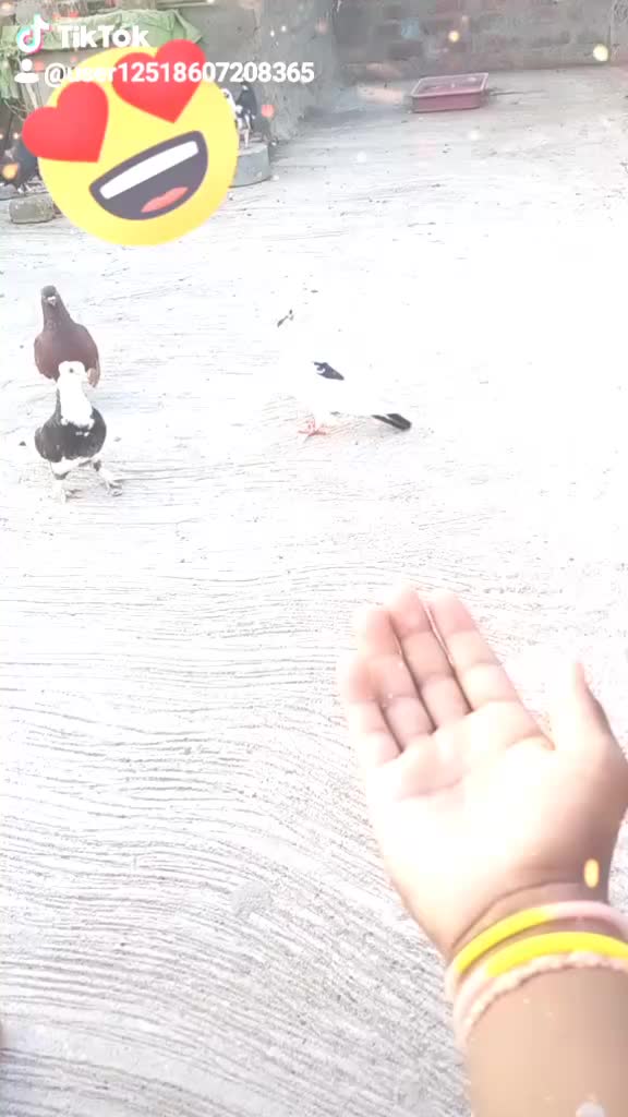 @user1251860720836