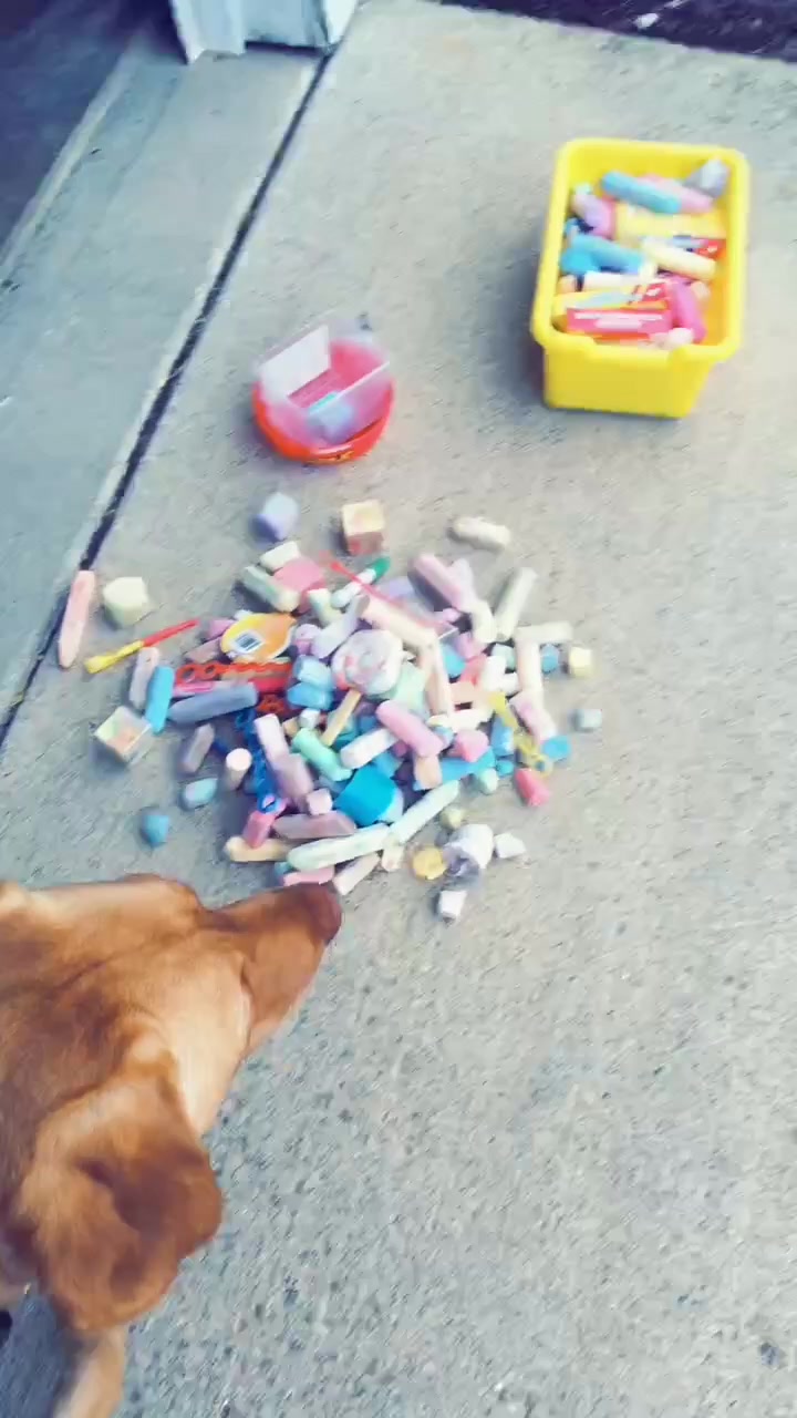 @Chalk Drawings