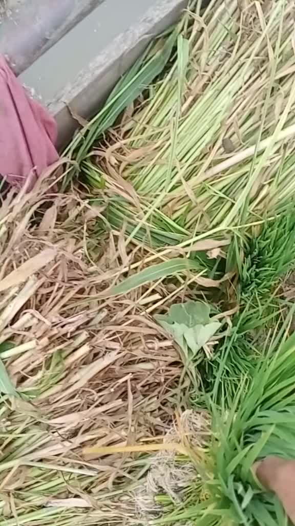 @Himanshumehta786
