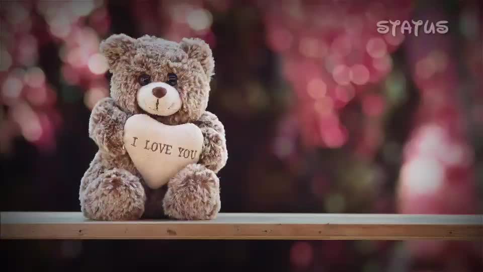 @Mr. Rajput
