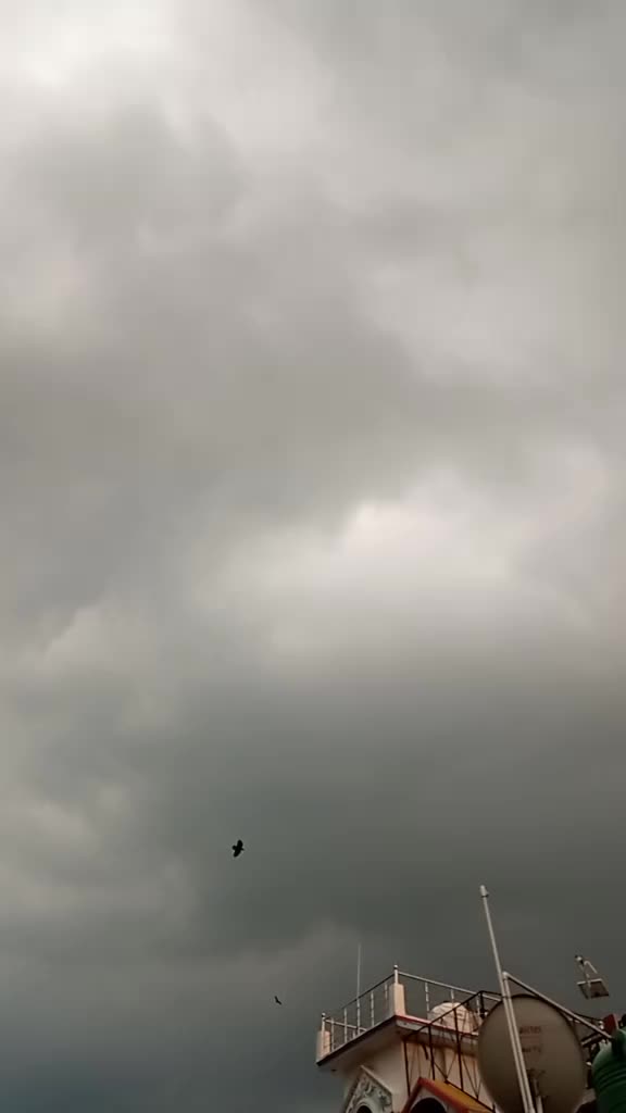 @angelgupta
