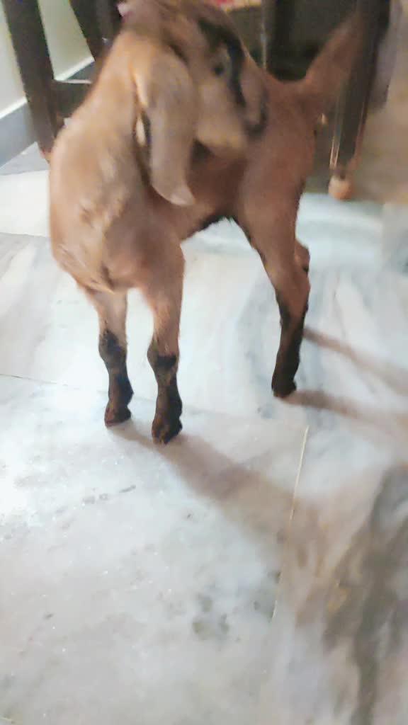 @Srikanth Yadav