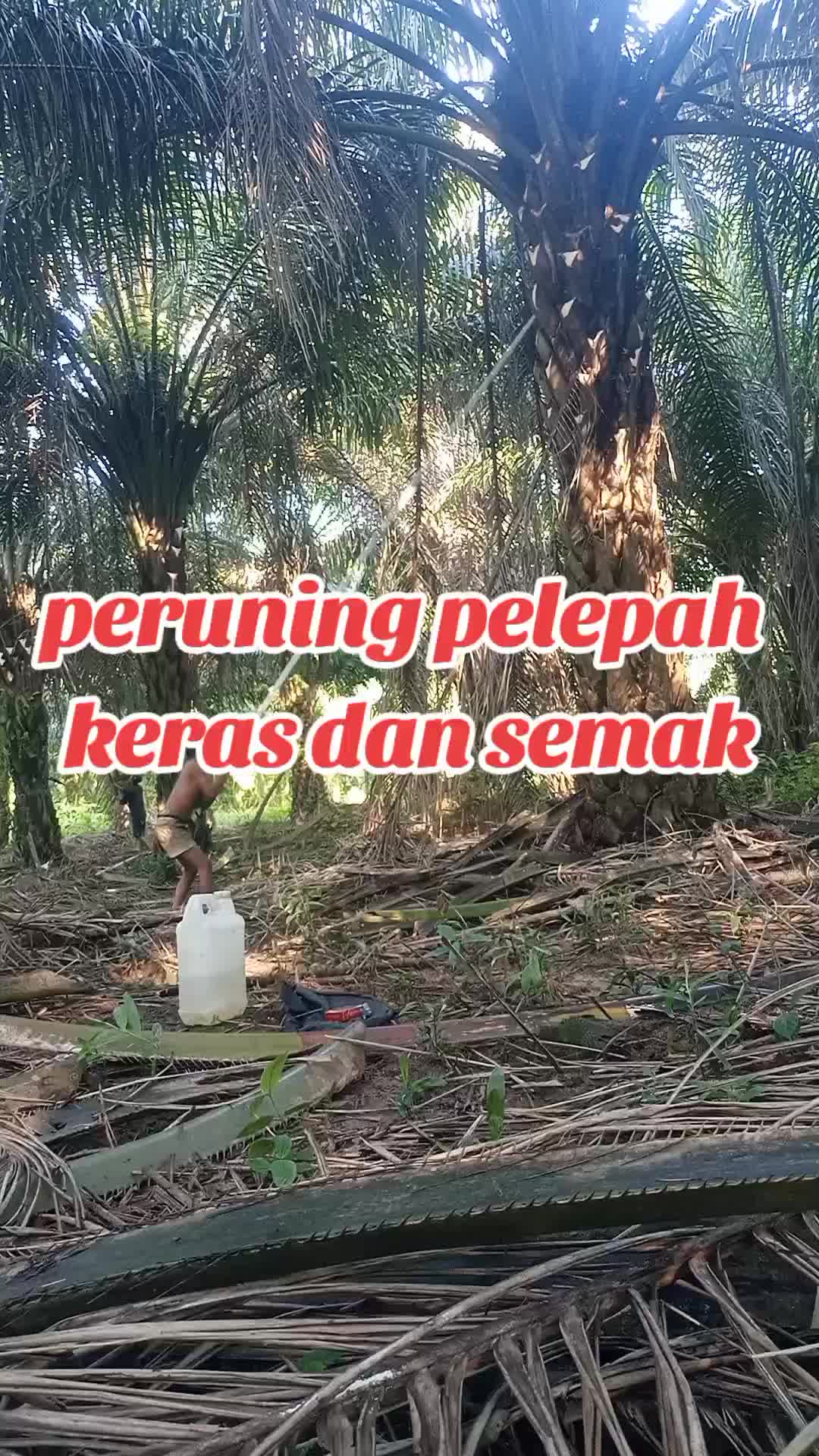 @rafkha461