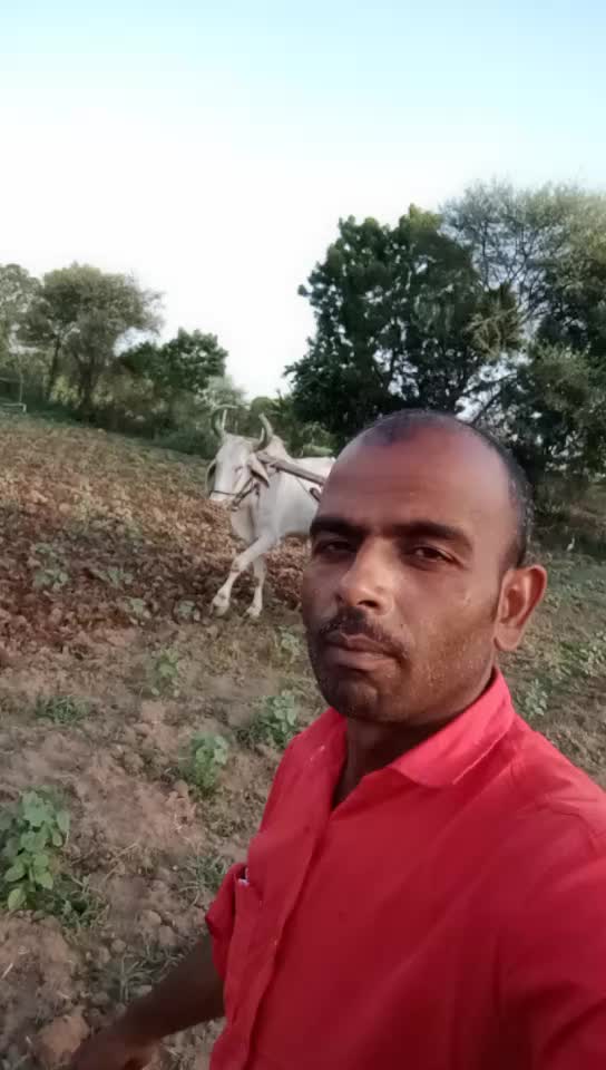 @Badrilal Gurjar