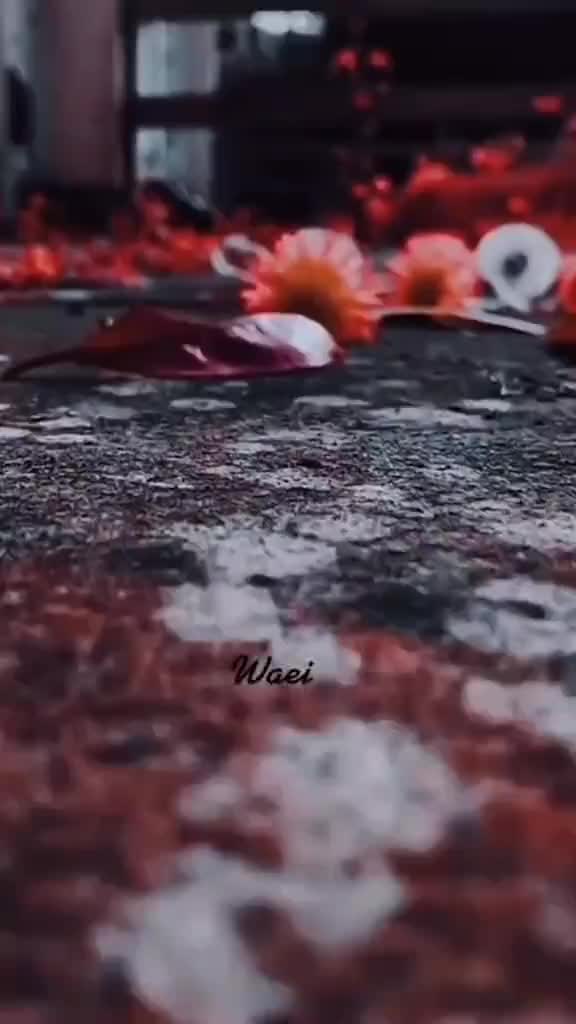 @madar shaikh s💔