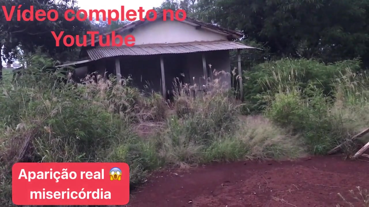 @Sirlei Campos oficial *