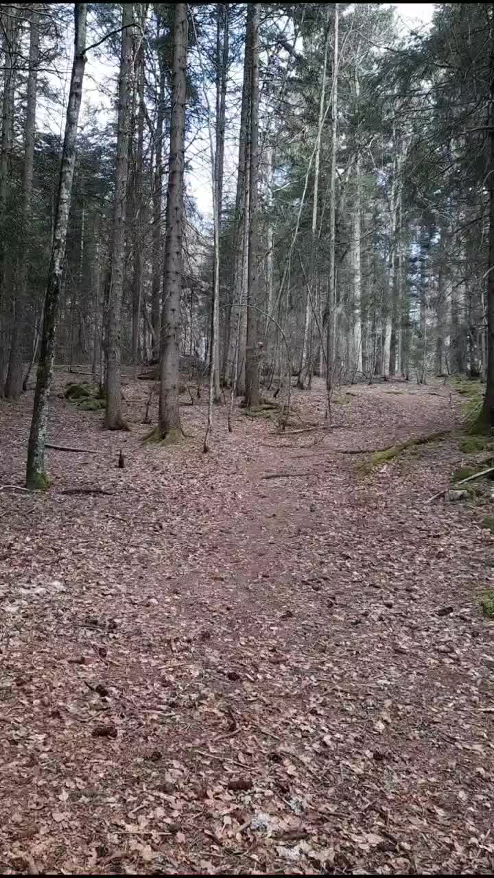 @coco_866