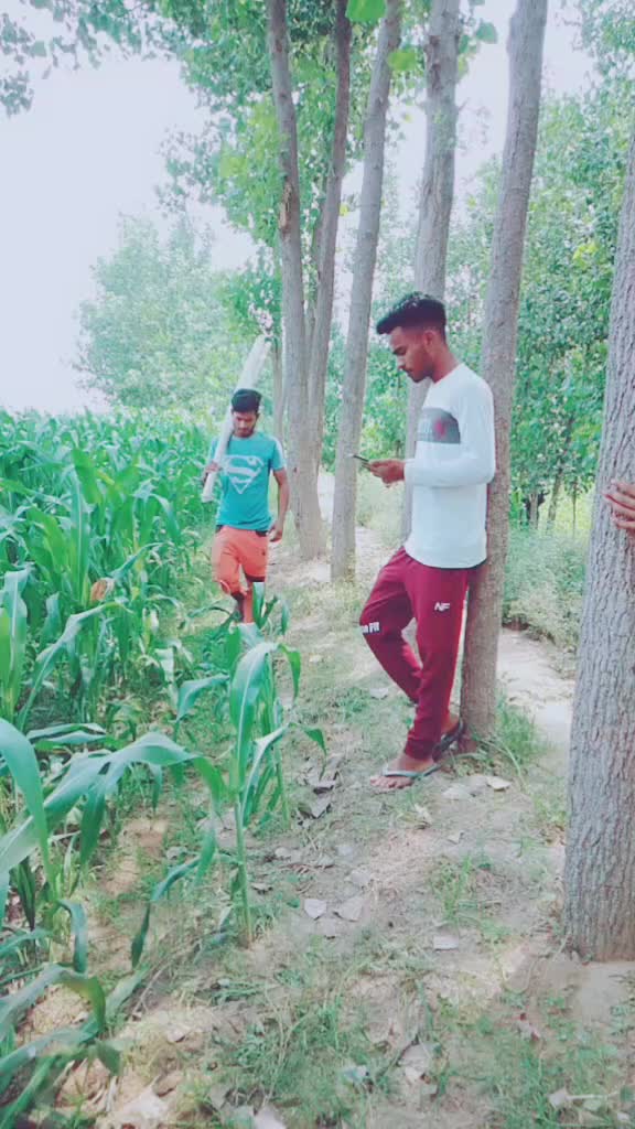 @Kaif jogi