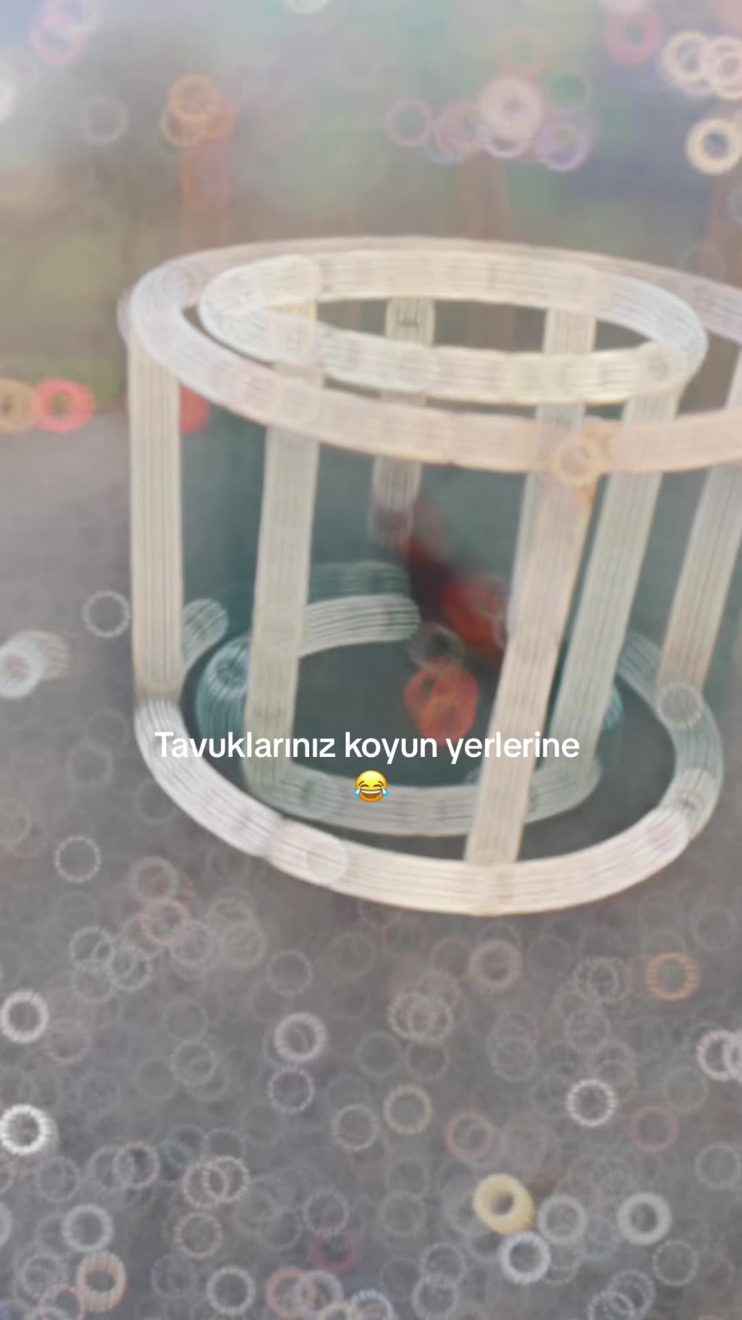 @6ertan1