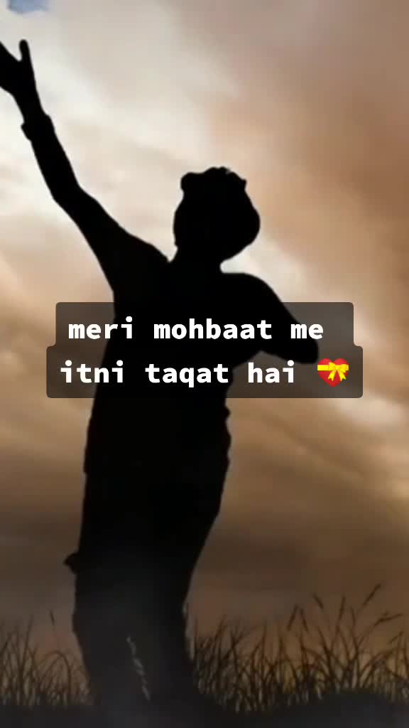 @taeefaliya