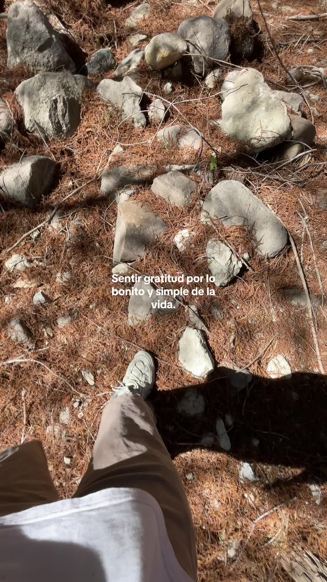 @Yael_Torres🦂