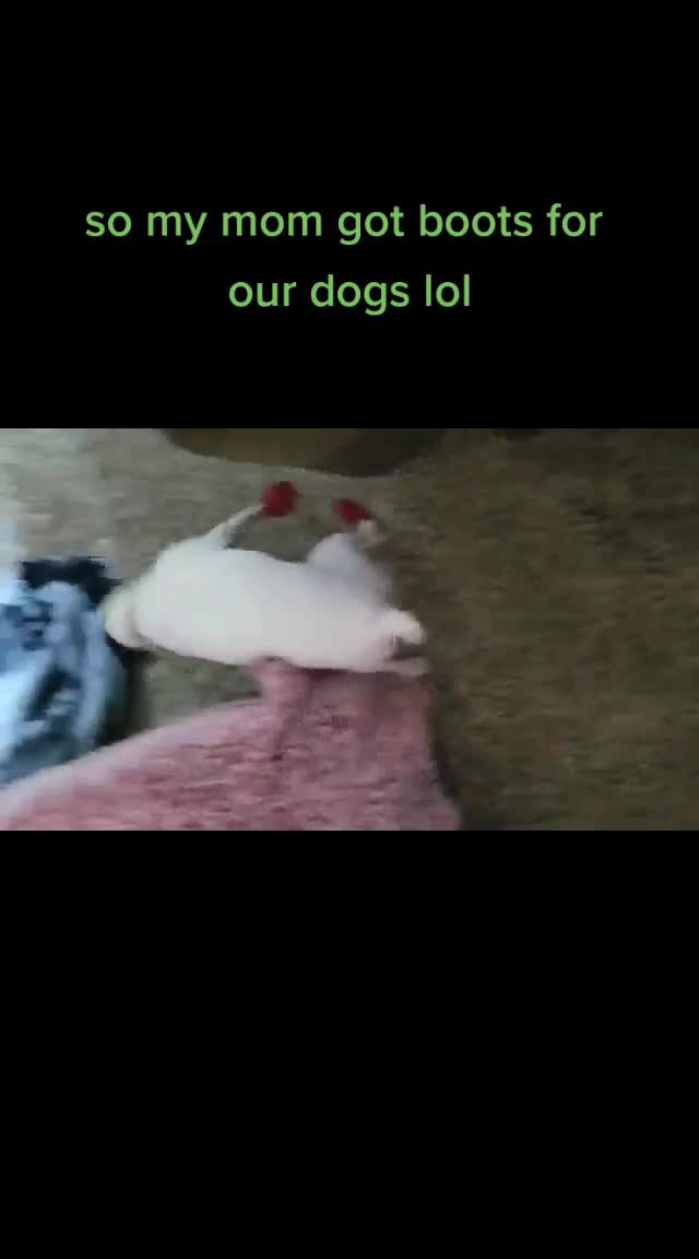 @Muun