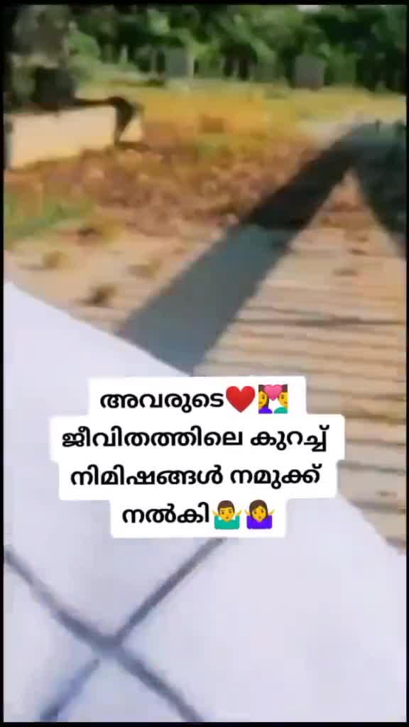 @Shabeeb shaabz