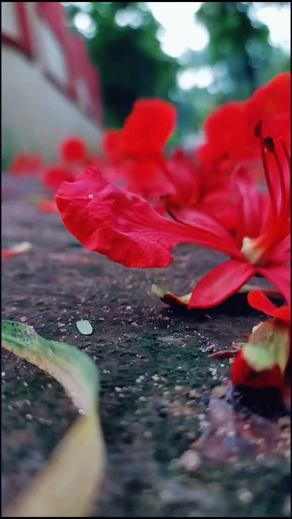 @Nikhil Nikhil