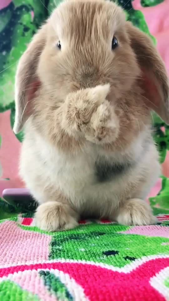 @cs.cs.kitti