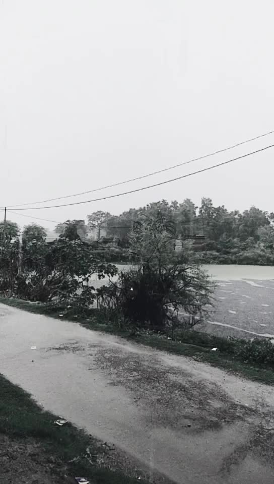 @prince singh psr