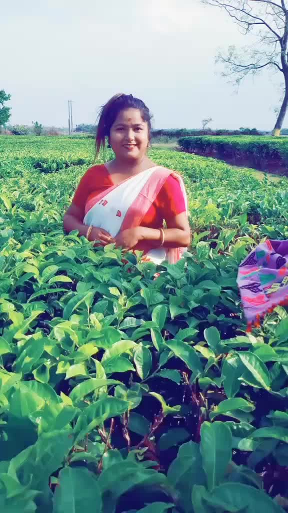 @Rimpi Dhunu Saikia