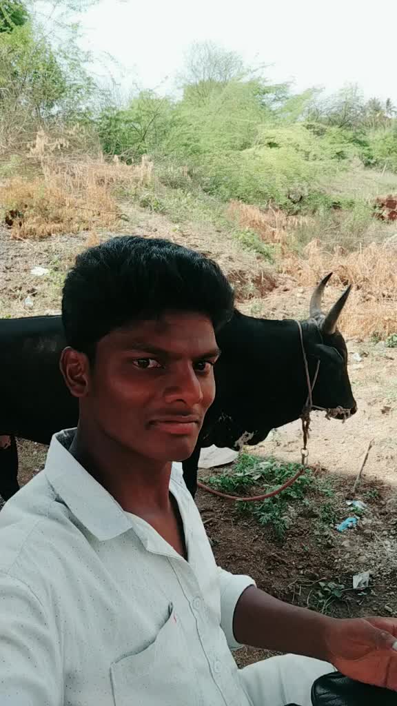 @maheshwaran