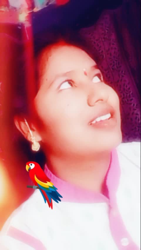 @chitti