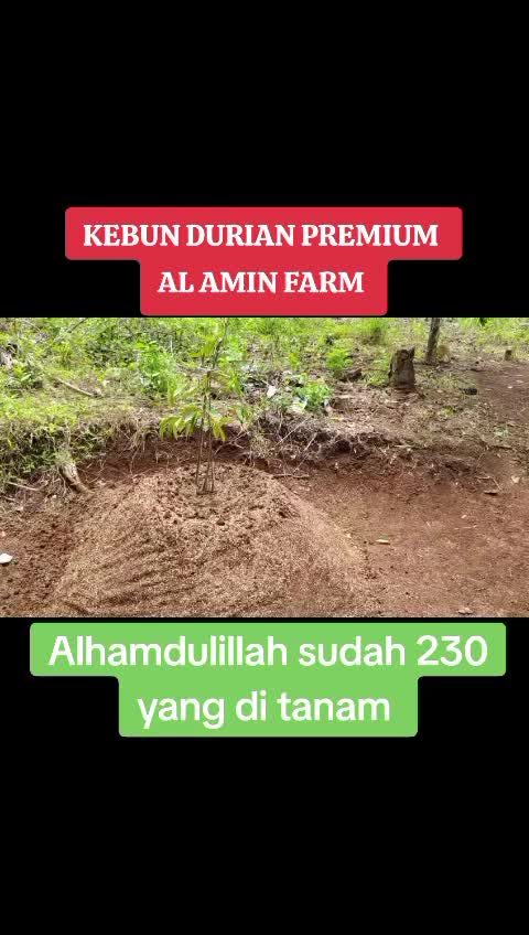 @PEJUANG keluarga ❤️