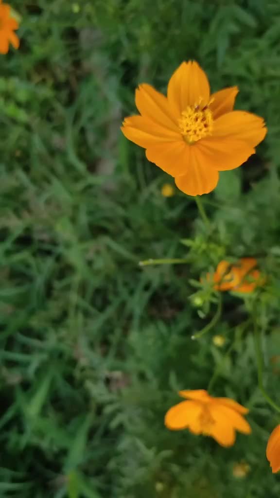 @ankush_mj0