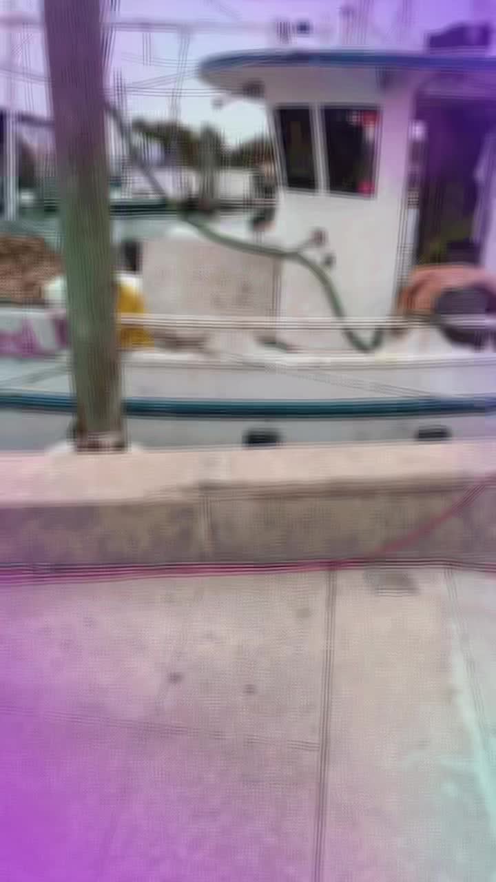 @user1141824423068
