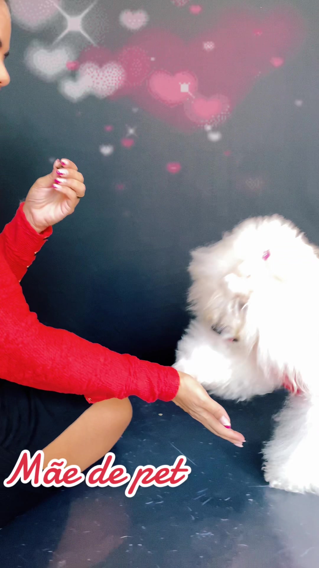 @Ninaboutiquepet