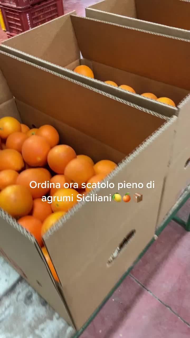 @laroccaagrumi.it