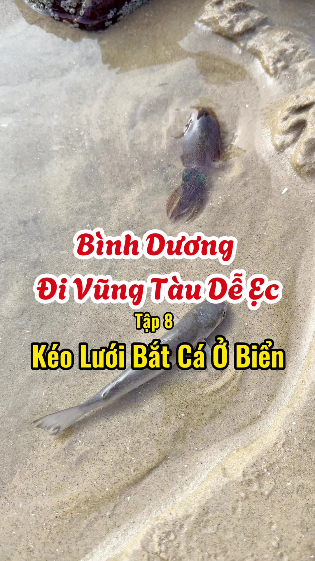 @B&igrave;nh Dương Ăn G&igrave;