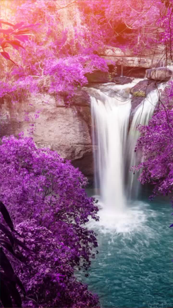 @@papatya 12