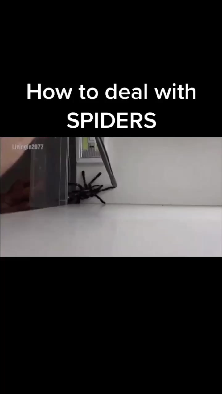@Viral AF