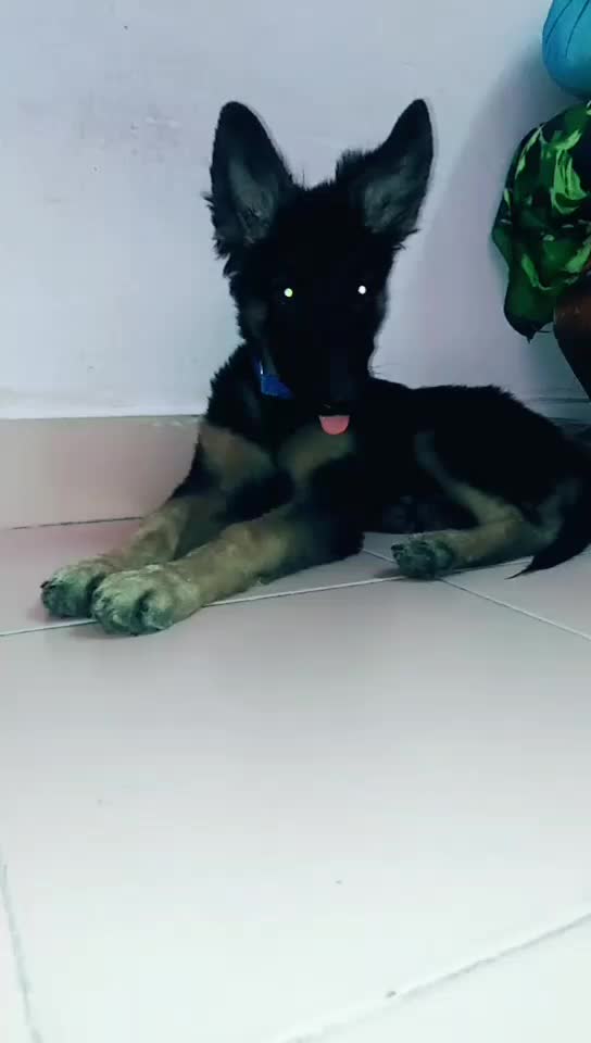 @Vara Prasad Nani