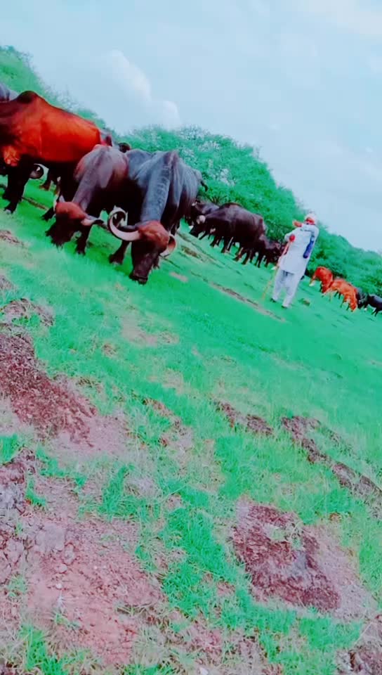 @Gadhavi raj