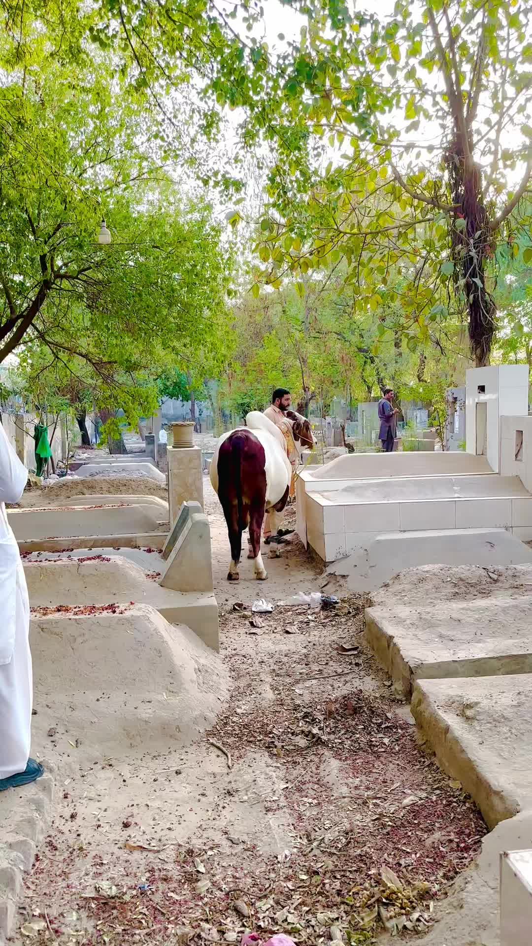 @🦅Mehar Tabish🦅