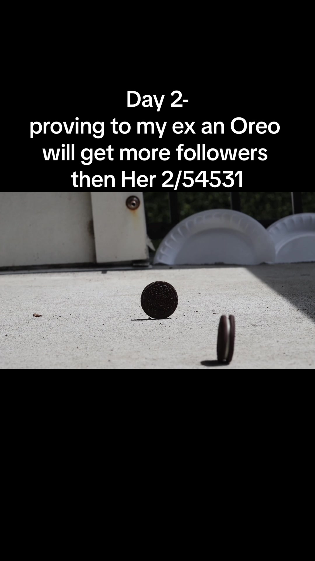 @jacobpacheco514