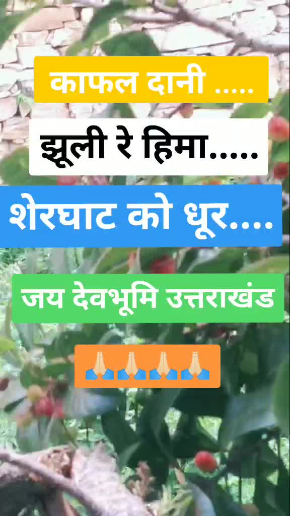 @KumarMukesh@222