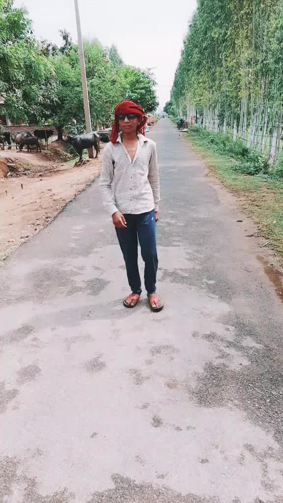 @laltaprasadbaghel
