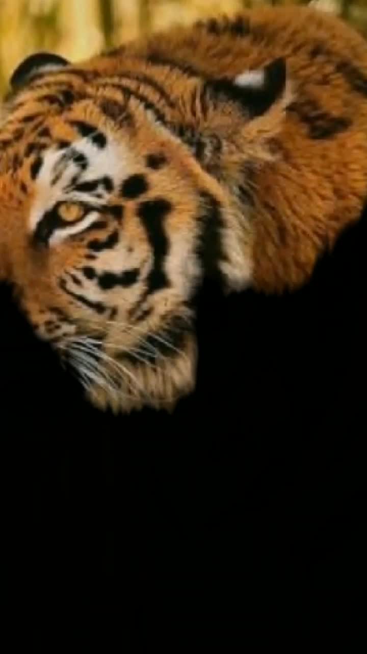 @Juhi Rai
