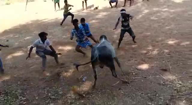 @sharp maruthu mp
